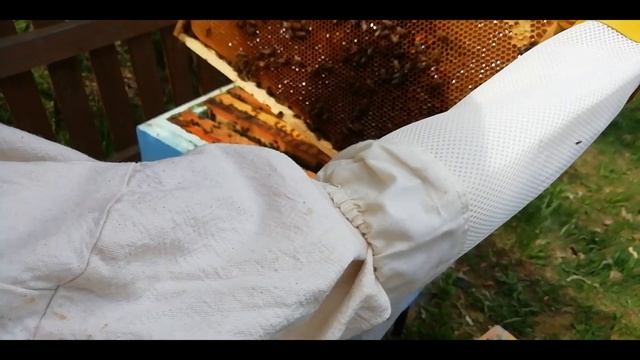 Мечу матку. - Как пометить матку. смотреть онлайн