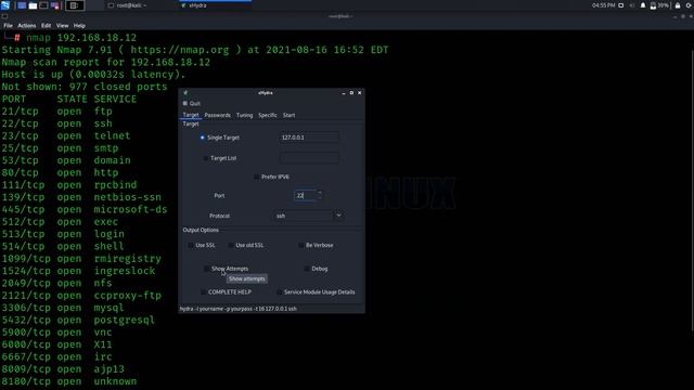 Password Hacking Tutorial – Password Cracking via Hydra & Brute Force смотреть онлайн