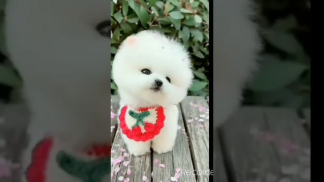 funny смотреть онлайн