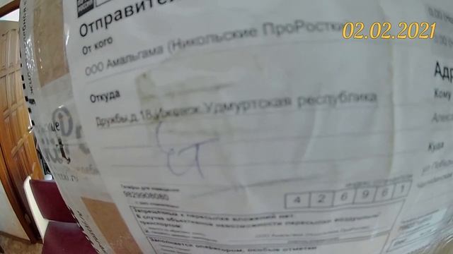 Посылка с семенами для проращивания от Никольские ПроРостки pro-rostki.ru смотреть онлайн