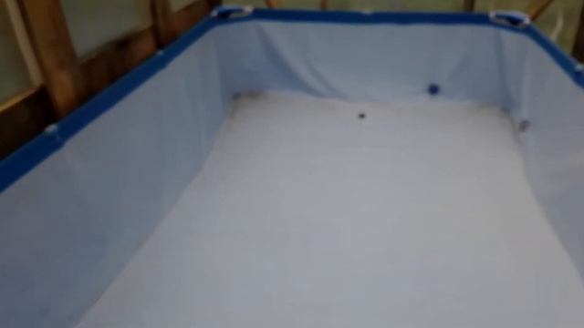 Как построить теплицу своими руками!!! Бассейн внутри теплицы!!! смотреть онлайн