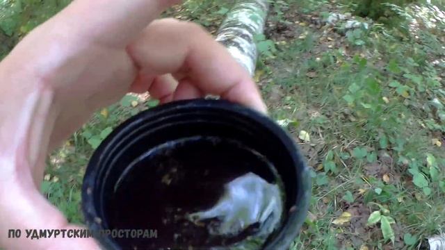 Прогулка за лисичками смотреть онлайн