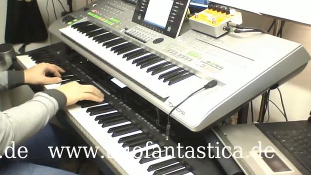 Eifelsounds - Enjoy The Silence - Tyros 3 - live смотреть онлайн