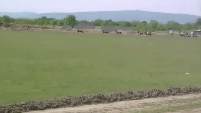 Скачки Шали 13 05 17 2800м смотреть онлайн