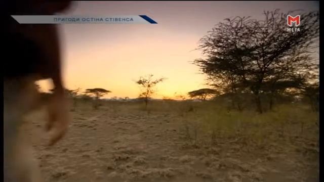 Остин Стивенс Ночь гиен смотреть онлайн