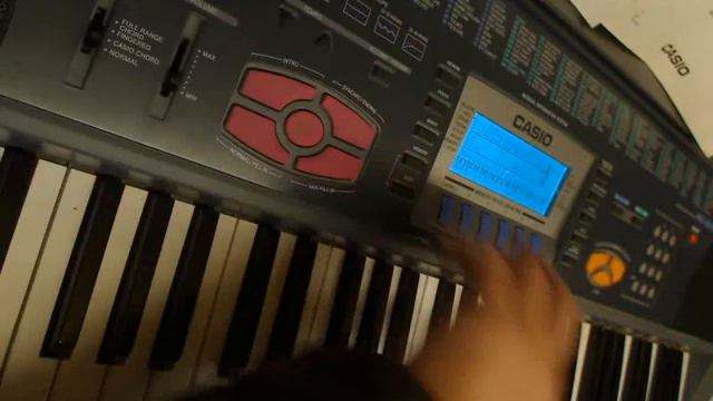 CASIO WK - 1200 (styles And Some Sounds Demonstration) HiQ Sound
