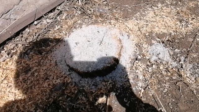 Как избавиться от пней и травы смотреть онлайн