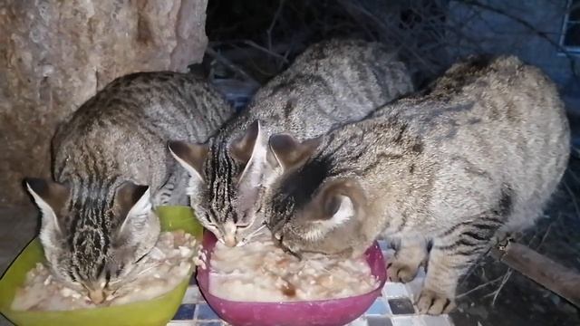 9 ноября 2023г смотреть онлайн