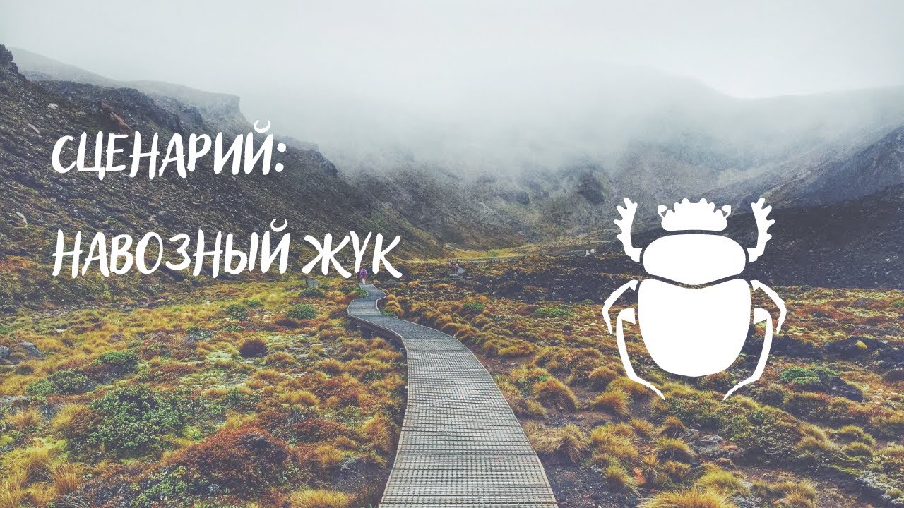 Сценарий навозный жук смотреть онлайн