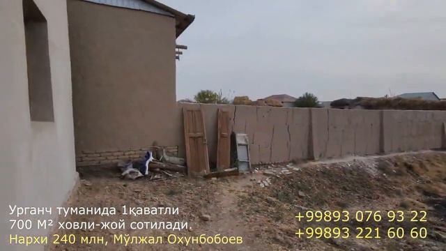 1 қаватли 700 М² ховли жой сотилади, Охунбобоев Урганч тумани смотреть онлайн
