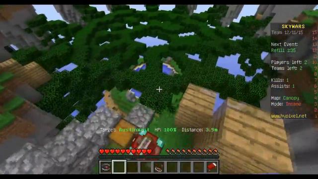 Sky Wars #14 Хотя бы тимейт победил смотреть онлайн