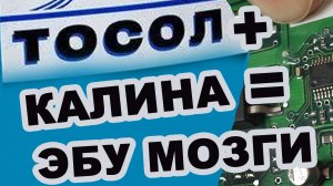 Ладе Калина Залило мозги! Что делать и куда переместить Блок ЭБУ.mp4