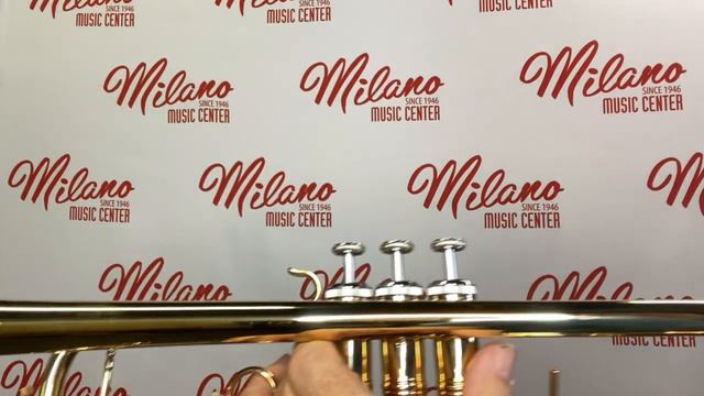 Versatile Clip On Tuners смотреть онлайн