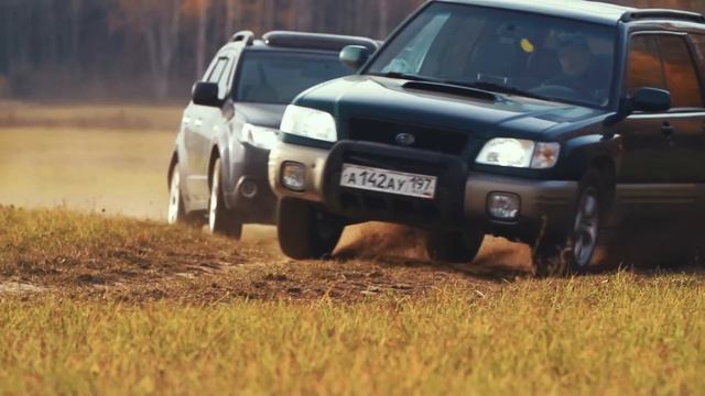 Subaru Forester в осеннем лесу смотреть онлайн