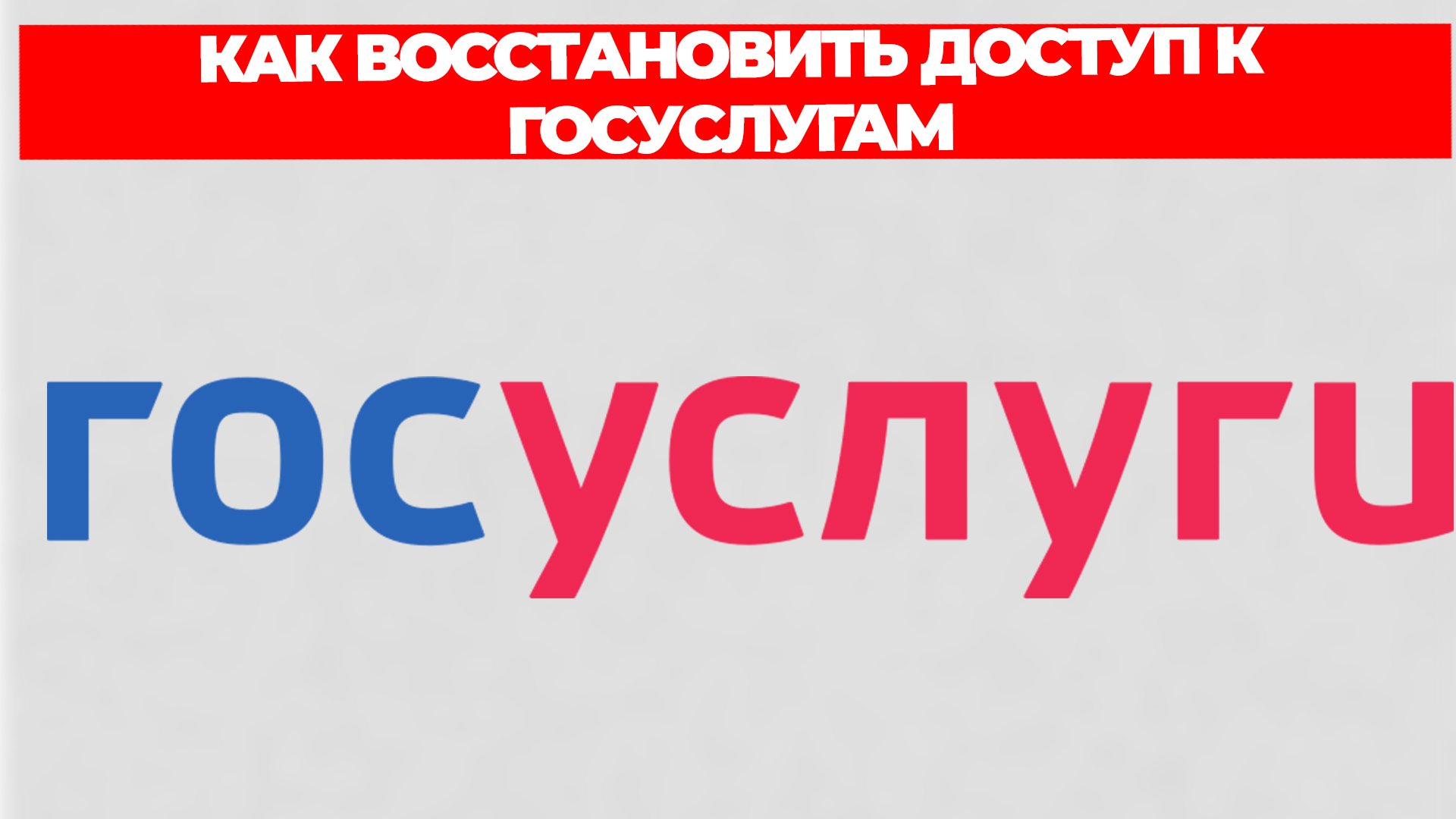 Всезнающий Енот