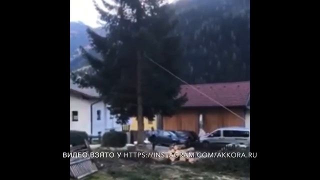 Дорогая ошибка при валке дерева. смотреть онлайн