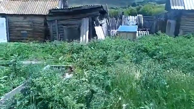 ВОТ ЭТО ДААА!ПРИЕХАЛИ! СЧАСТЬЕ-ТО КАКОЕ! СКОЛЬКО НАМ РАБОТЫ...!!! 10 июня 2018г. смотреть онлайн