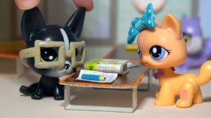 LPS: МОЯ ШКОЛЬНАЯ ИСТОРИЯ / ИСТОРИИ КЕЙТ № 4