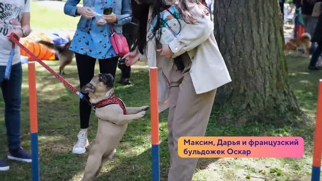 Petshop Water Day: SUP & Док-Дайвинг в Петербурге / 5 июня 2022 смотреть онлайн
