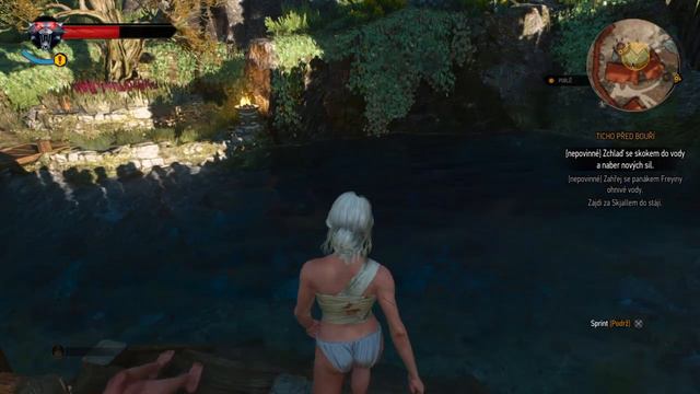 The Witcher 3: Wild Hunt Ciri in sauna (NAKED) смотреть онлайн
