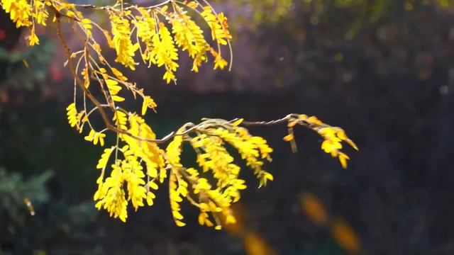 G Chumakov После бала (Н. Шипилов) смотреть онлайн