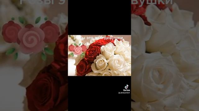 Отправить(5) смотреть онлайн
