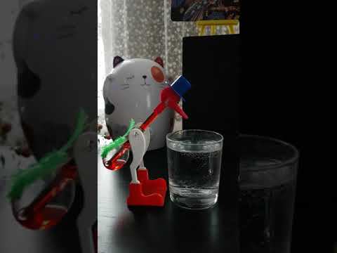 Вечно пьющая птичка смотреть онлайн