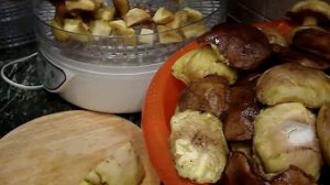 Домашние хлопоты.Как сушить маслята.