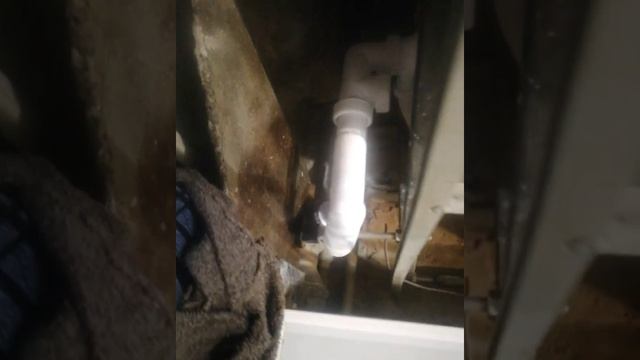 VID_36340502_165400_952.mp4