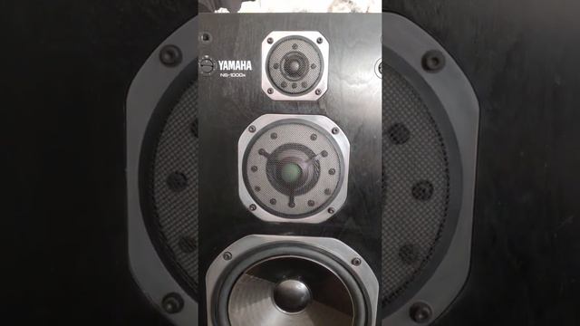 YAMAHA NS-1000X смотреть онлайн