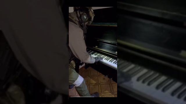 Басенджи Вася и Салли