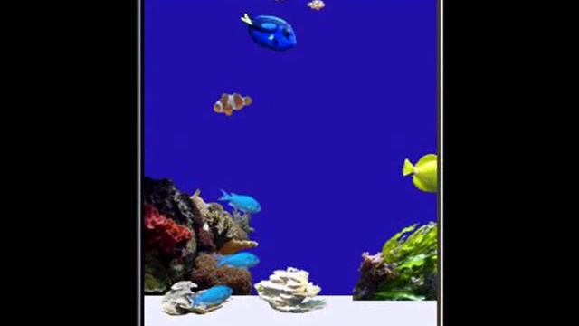 Free java games for mobiles Aquarium Clown fish смотреть онлайн