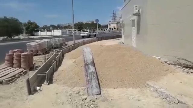 Деревья возле рынка выкорчевали смотреть онлайн