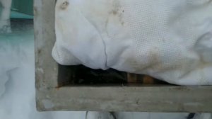 Когда положить канди ?