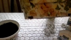 Бегония ампельная,высаживаем клубни