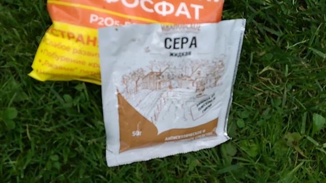 Голубику готовлю даже к самой суровой зиме! смотреть онлайн