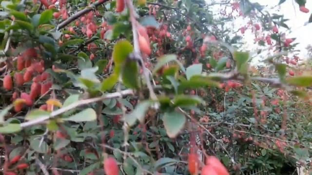 Лайфхаки для Ежедневной Жизни