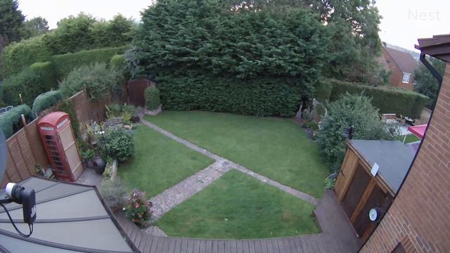 Fox in the Garden... a regular visitor lately. смотреть онлайн
