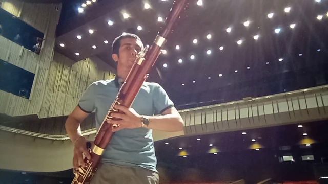 Verdi Requiem Quid sum miser Bassoon solo смотреть онлайн
