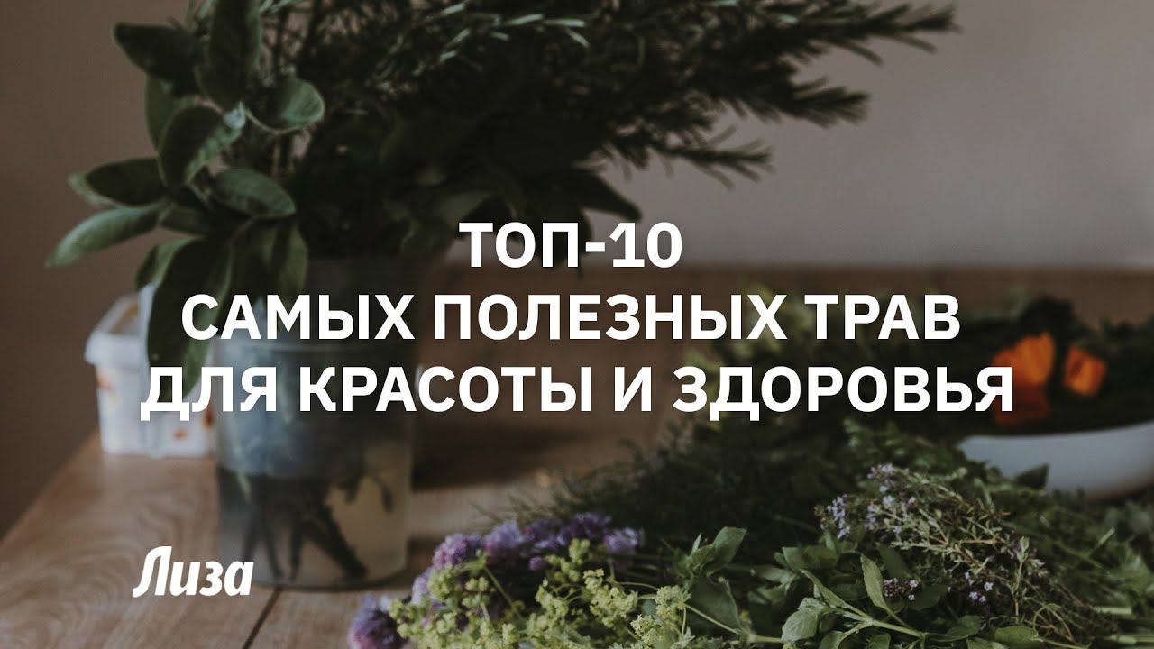 Топ-10 полезных растений для здоровья и красоты смотреть онлайн