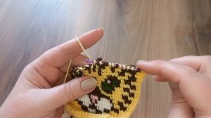 Вязаные тапочки "День кошек"??. тунисское вязание+спицы ?