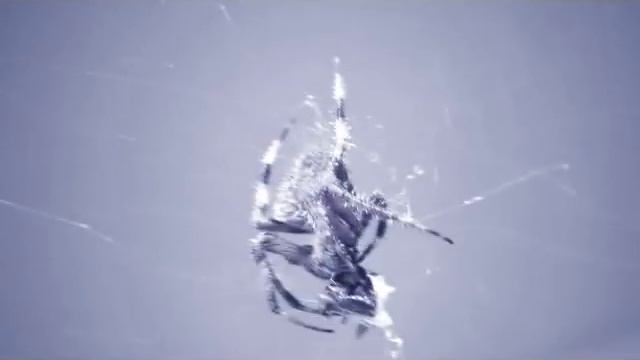 drone 02 (spider) смотреть онлайн