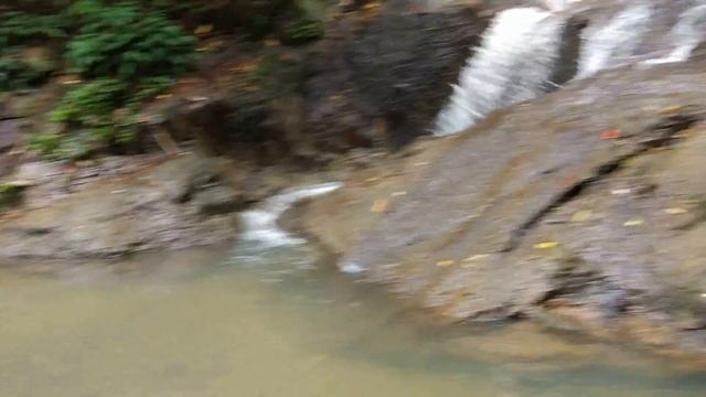 Интересные места на Пхукете, куда сходить? Дорога через джунгли, настоящий полёт ханумана! смотреть онлайн