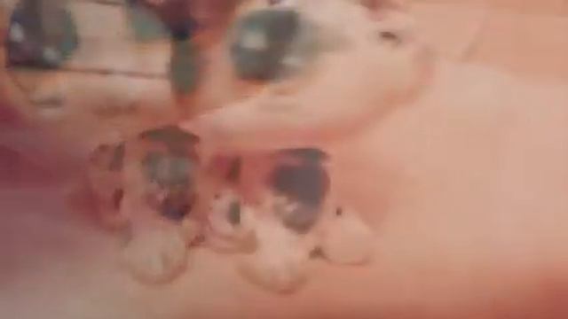 Я останусь смотреть онлайн