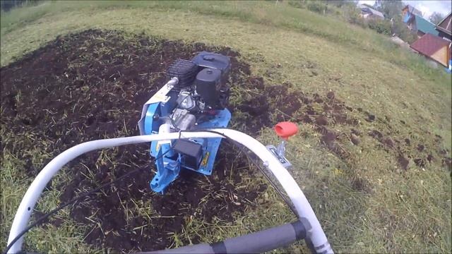 Заделывание сидератов с помощью мотоблока смотреть онлайн