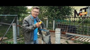 ОТПУГИВАТЕЛЬ СОБАК / проверяем работу