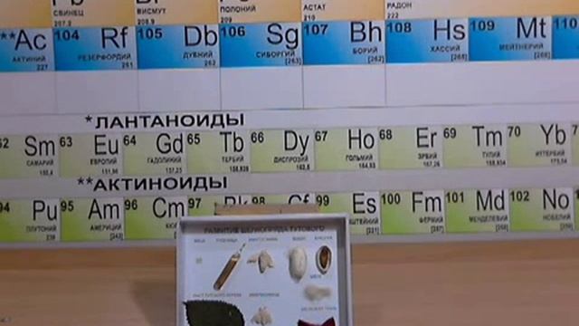 шелкопряд тутовый смотреть онлайн