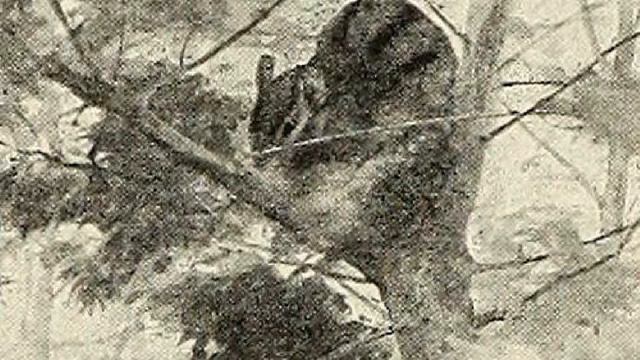 Technique of the Mystery Story | Carolyn Wells | Crime & Mystery Fiction | Speaking Book | 2/7 смотреть онлайн