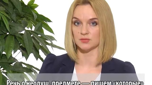 ГРАМОТНОСТЬ В МАССЫ: КОТОРЫХ ИЛИ КОТОРЫЕ? смотреть онлайн