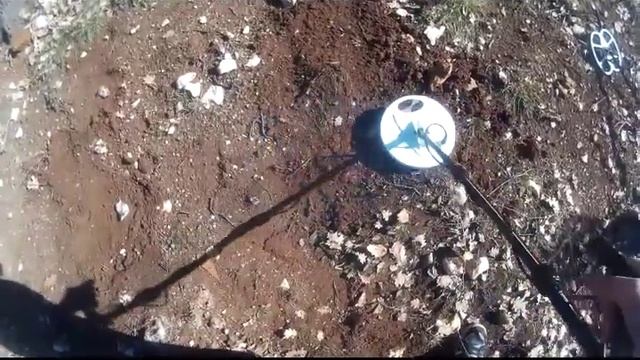 Detech EDS Gold Catcher: Test Di Profondità